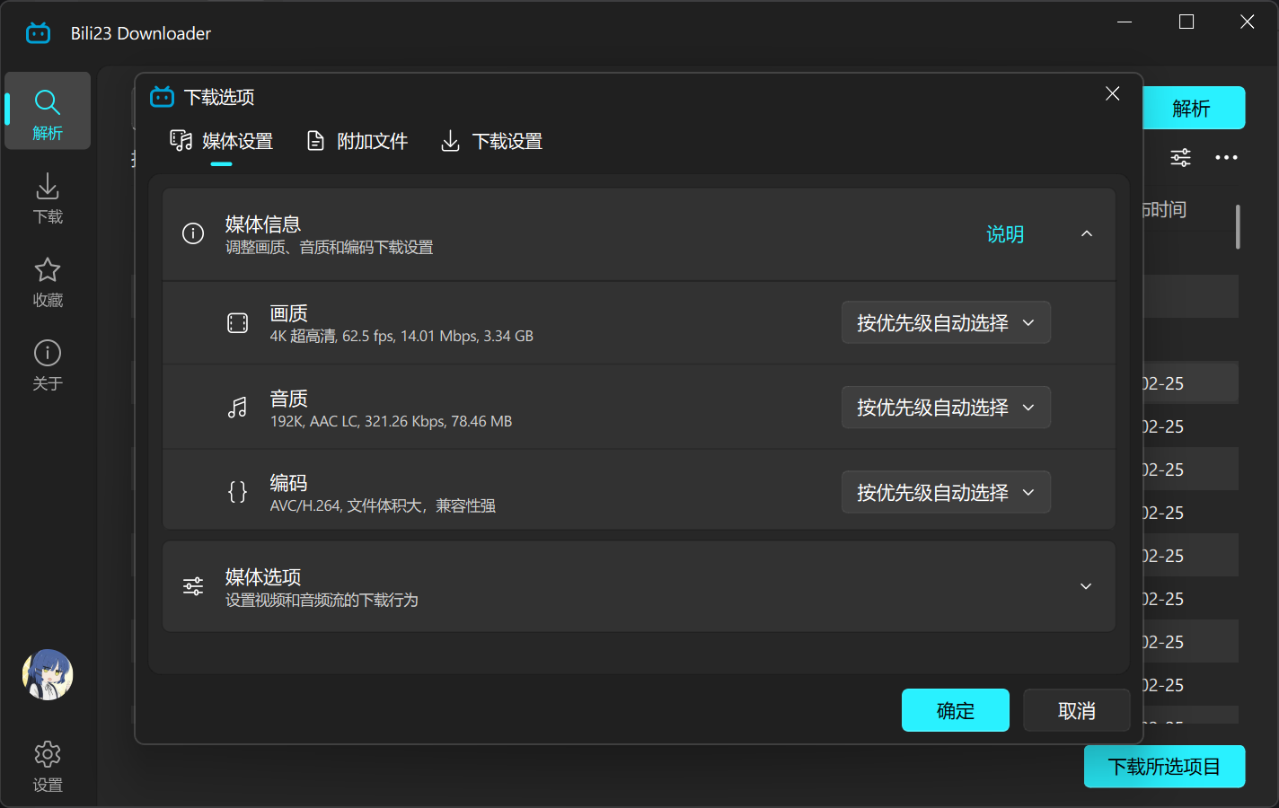 下载选项对话框示意图
